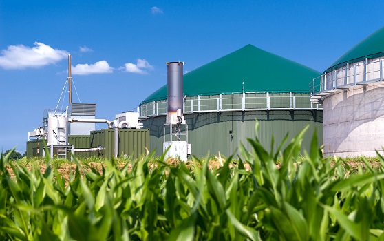 Quel est le rôle de la mesure du débit massique dans la valorisation du biogaz ?
